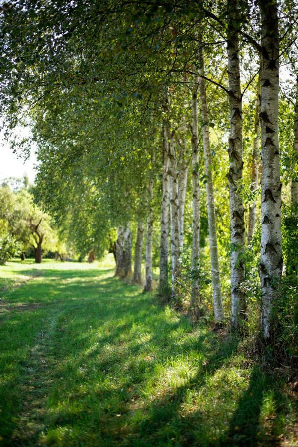 Obere Muehle - Scheunenwohnung Mitten Im Gruenen Baunach エクステリア 写真